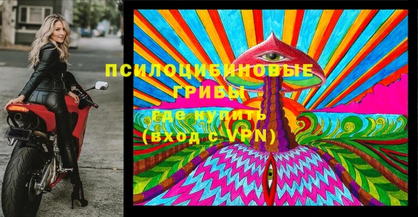 мдпв Киренск
