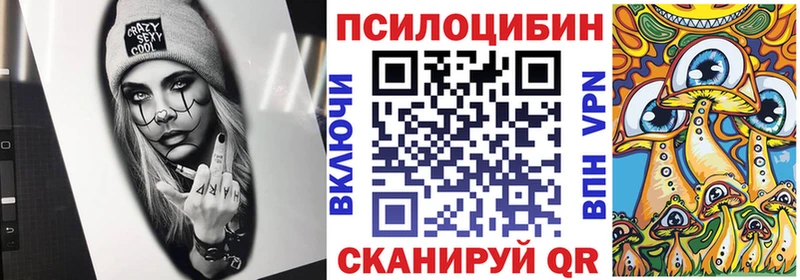 Псилоцибиновые грибы мухоморы  Купить закладки  Биробиджан 